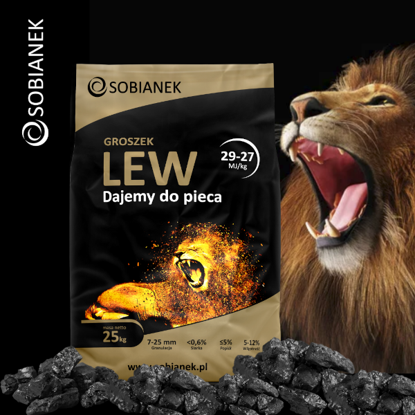 Groszek Sobianek Lew